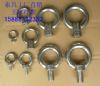 Stainless Steel Eye Bolts